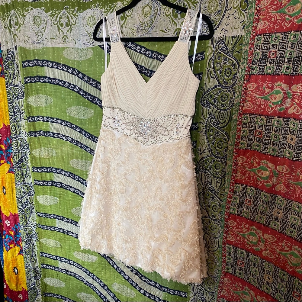 Sue Wong Nocturne Cream Embellished V-Neck Colume Mini Dress Size 10 - Picture 6 of 16